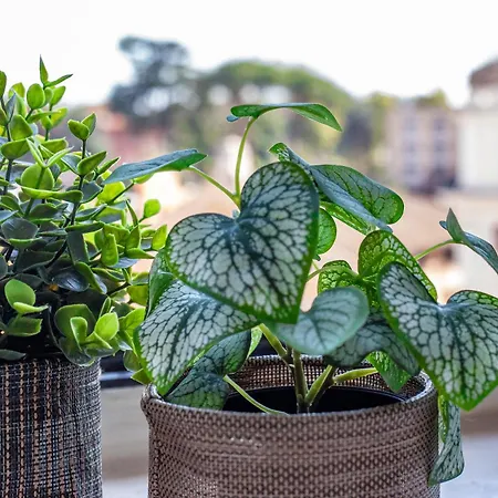 Iflat Incredible View Apartament